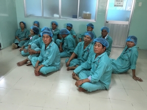 Viet Dreams free eye cateract surgeries 02-2016